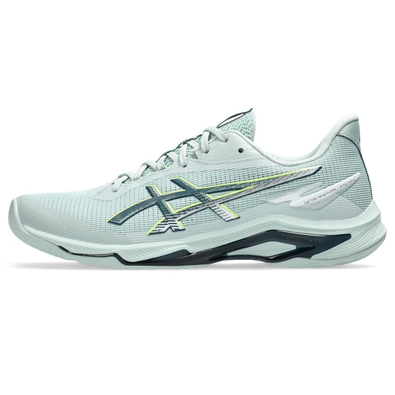 Asics Schoenen Netburner Ballistic FF 4 I grijs