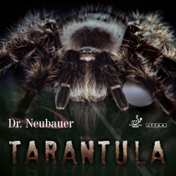 Dr.Neubauer Tarantula